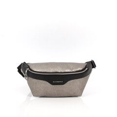 Женская сумка на талии Silver &amp; Polo 890, серебро / черный цена и информация | Женские сумки | pigu.lt