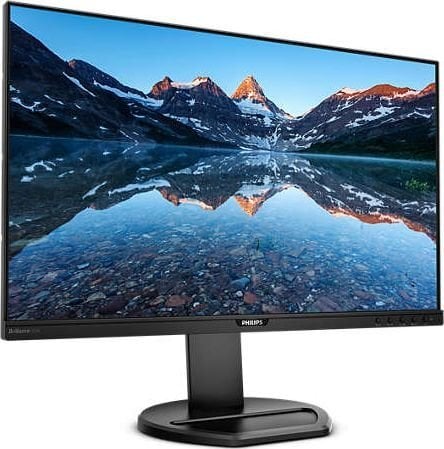 Philips 252B9/00 kaina ir informacija | Monitoriai | pigu.lt