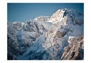 Фото обои - Зима в Альпах цена и информация | Фотообои | pigu.lt