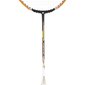Badmintono rakečių rinkinys Wish Alumtec 799K kaina ir informacija | Badmintonas | pigu.lt