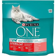 Purina One Bifensis su lašiša, 1,5 kg kaina ir informacija | Sausas maistas katėms | pigu.lt