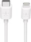 Belkin FB239BT04, USB-C/Lightning, 1.2 m kaina ir informacija | Kabeliai ir laidai | pigu.lt