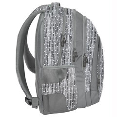 Рюкзак Paso, PPMM19-2706 цена и информация | Школьные рюкзаки, спортивные сумки | pigu.lt