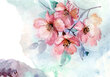 Vaikiški  fototapetai - Akvarele pieštos pavasarinės gėlės цена и информация | Vaikiški fototapetai | pigu.lt