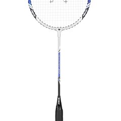 Badmintono raketė Wish Alumtec 317 kaina ir informacija | Badmintonas | pigu.lt
