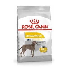 Royal Canin Maxi dermacomfort suaugusiems didelių veislių šunims, 3 kg kaina ir informacija | Sausas maistas šunims | pigu.lt