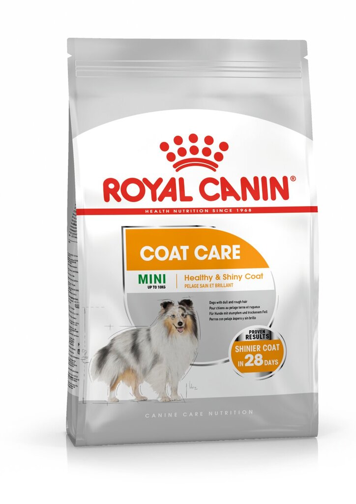 Royal Canin sveikam kailiui ir odai Mini Coat Care, 1 kg kaina ir informacija | Sausas maistas šunims | pigu.lt