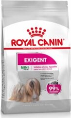 Royal Canin корм для взрослых собак мелких и селективных пород Mini Exigent, 3 kg цена и информация | Сухой корм для собак | pigu.lt