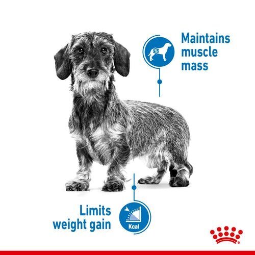 Royal Canin šunims, linkusiems priaugti svorio Mini Light Weight Care, 1 kg kaina ir informacija | Sausas maistas šunims | pigu.lt