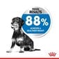 Royal Canin šunims, linkusiems priaugti svorio Mini Light Weight Care, 1 kg kaina ir informacija | Sausas maistas šunims | pigu.lt