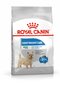 Royal Canin šunims, linkusiems priaugti svorio Mini Light Weight Care, 1 kg kaina ir informacija | Sausas maistas šunims | pigu.lt