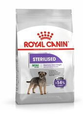 Royal Canin для стерилизованных собак Mini Sterilised, 1 kg цена и информация |  Сухой корм для собак | pigu.lt