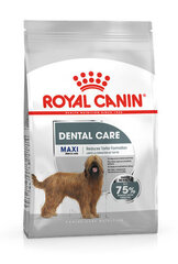 Royal Canin Maxi Dental Care для взрослых собак крупных пород, 3 кг цена и информация | Сухой корм для собак | pigu.lt