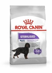 Royal Canin CCN Maxi Sterilized, 3 kg kaina ir informacija | Sausas maistas šunims | pigu.lt