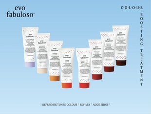 Кондиционер для поддержки цвета волос EVO Caramel Fabuloso 220 мл цена и информация | Бальзамы, кондиционеры | pigu.lt