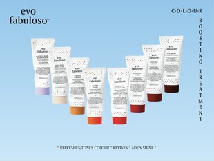 Кондиционер для поддержки цвета волос EVO Cool Brown Fabuloso 220 мл цена и информация | Бальзамы, кондиционеры | pigu.lt