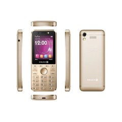 Evelatus Tron Dual SIM Gold kaina ir informacija | Mobilieji telefonai | pigu.lt