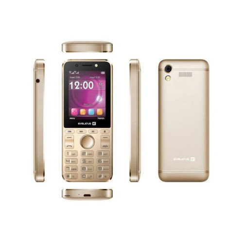 Evelatus Tron, Dual SIM Gold kaina ir informacija | Mobilieji telefonai | pigu.lt