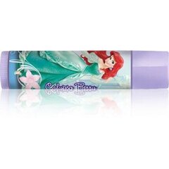 Lūpų balzamas Lip Smacker Disney Prinses Ariel / Berry 4 g, Calypso Berry kaina ir informacija | Lūpų dažai, blizgiai, balzamai, vazelinai | pigu.lt