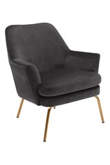 Кресло Chisa, темно-серое цена и информация | Кресла в гостиную | pigu.lt