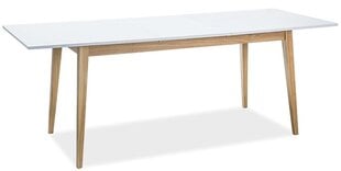 Stalas Signal Meble Cesar, 68x120 cm, baltos/ąžuolo spalvos kaina ir informacija | Virtuvės ir valgomojo stalai, staliukai | pigu.lt
