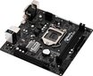 ASRock H310CM-HDV цена и информация | Pagrindinės plokštės | pigu.lt