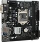 ASRock H310CM-HDV цена и информация | Pagrindinės plokštės | pigu.lt