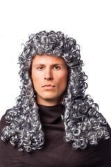 Teisėjo perukas kaina ir informacija | Karnavaliniai kostiumai | pigu.lt