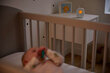 Kūdikių stebėjimo prietaisas Philips Avent Dect, SCD711 цена и информация | Mobilios auklės | pigu.lt