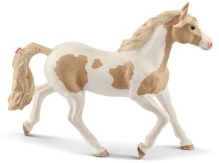 Figūrėlė Amerikos Paintų kumelė Schleich Horse Club kaina ir informacija | Žaislai berniukams | pigu.lt