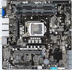 Asus WS C246M PRO/SE Intel C246 LGA 1151 (Socket H4) kaina ir informacija | Pagrindinės plokštės | pigu.lt