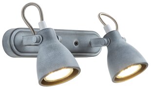 Candellux потолочный светильник Ash цена и информация | Потолочные светильники | pigu.lt