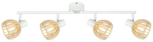 Candellux потолочный светильник Atarri цена и информация | Потолочные светильники | pigu.lt