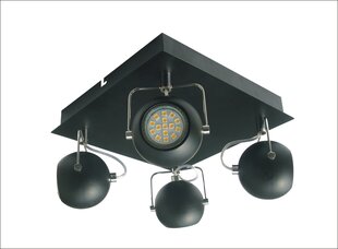 Candellux потолочный светильник Tony цена и информация | Потолочные светильники | pigu.lt