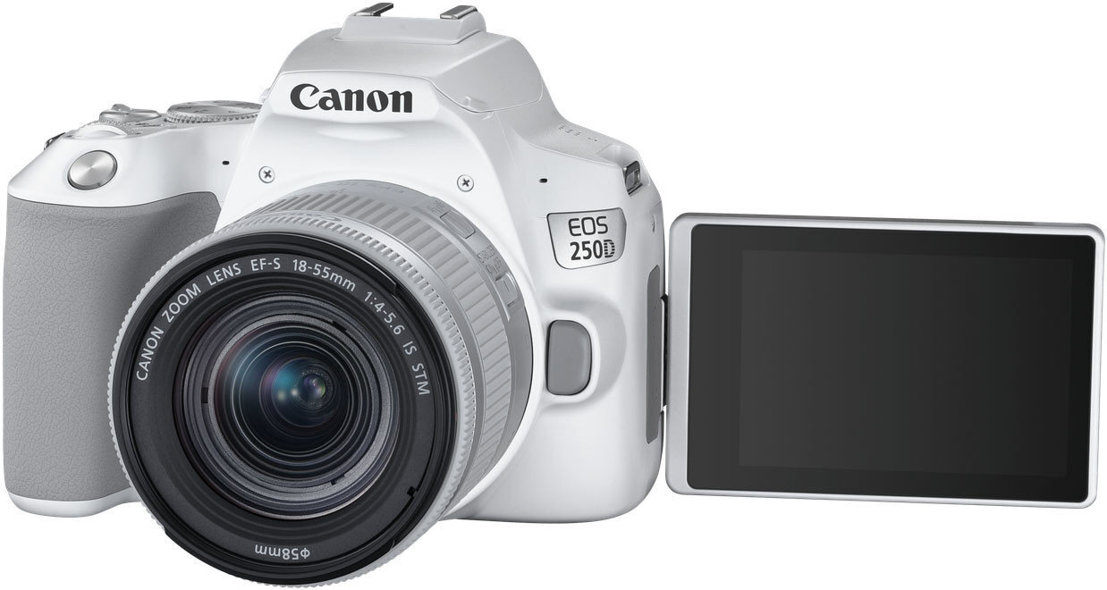 Canon EOS 250D kaina ir informacija | Skaitmeniniai fotoaparatai | pigu.lt