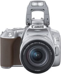 Цифровая Kамера Canon 250D + EF-S 18-55mm f/4-5.6 IS STM цена и информация | Цифровые фотоаппараты | pigu.lt