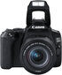 Canon EOS 250D + 18-55mm IS STM, Black цена и информация | Skaitmeniniai fotoaparatai | pigu.lt