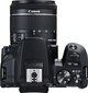 Canon EOS 250D + 18-55mm IS STM, Black kaina ir informacija | Skaitmeniniai fotoaparatai | pigu.lt