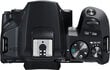 Canon EOS 250D + EF-S 18-55mm III + EF 75-300mm III (Black) kaina ir informacija | Skaitmeniniai fotoaparatai | pigu.lt