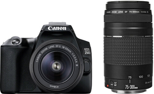 Canon EOS 250D + 18-55мм + 75-300мм Kit, черный цена и информация | Цифровые фотоаппараты | pigu.lt