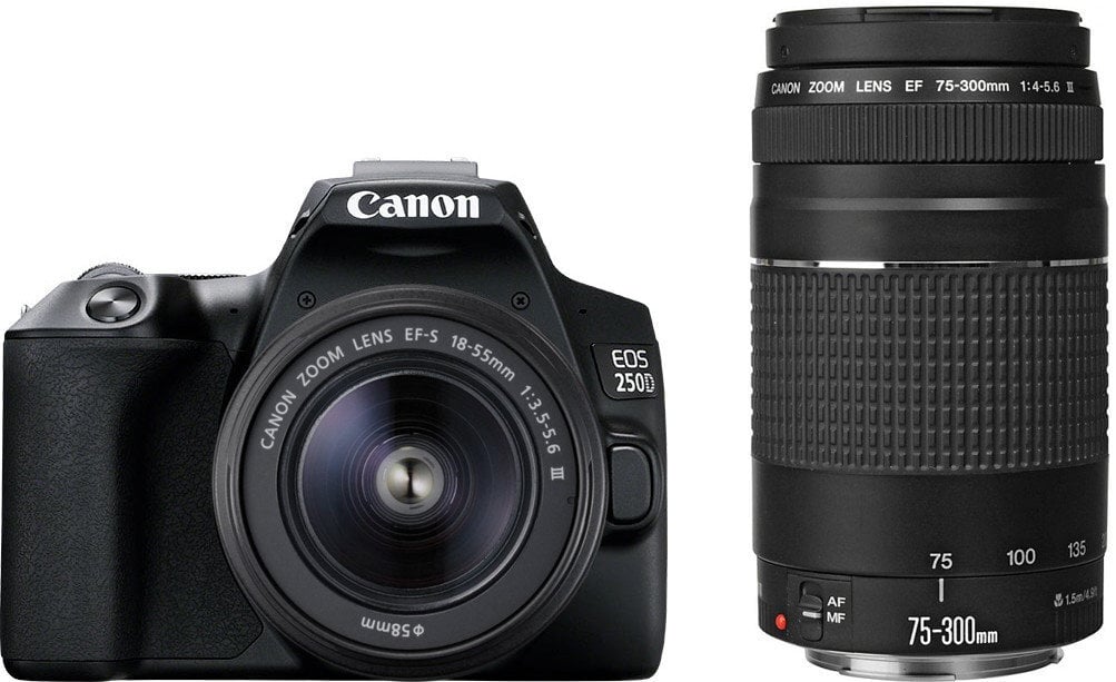 Canon EOS 250D + EF-S 18-55mm III + EF 75-300mm III (Black) kaina ir informacija | Skaitmeniniai fotoaparatai | pigu.lt