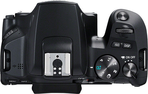 Canon EOS 250D Body цена и информация | Skaitmeniniai fotoaparatai | pigu.lt