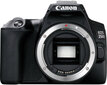 Canon EOS 250D Body kaina ir informacija | Skaitmeniniai fotoaparatai | pigu.lt