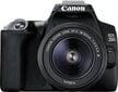 Canon EOS 250D 18-55mm III kaina ir informacija | Skaitmeniniai fotoaparatai | pigu.lt