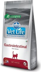 Farmina Vet Life Gastrointestinal Feline сухой корм для кошек с курицей, 2 кг цена и информация | Сухой корм для кошек | pigu.lt