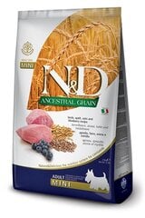 N&D Low Grain suaugusiems mažųš veislių šunims su ėriena ir mėlynėmis, 7 kg kaina ir informacija | Sausas maistas šunims | pigu.lt