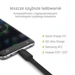 Green Cell кабель быстрой зарядки USB/USB-C, 25 см цена и информация | Кабели для телефонов | pigu.lt