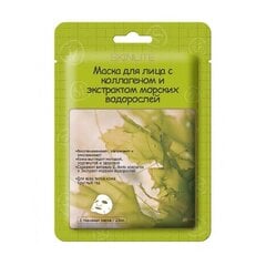 SKINLITE тканевая маска для лица с коллагеном и экстрактом морских водорослей, 1 шт. цена и информация | Маски для лица, патчи для глаз | pigu.lt