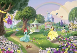 Fototapetai Disney Princess Rainbow kaina ir informacija | Vaikiški fototapetai | pigu.lt