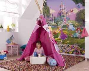Fototapetai Disney Princess Sunset kaina ir informacija | Vaikiški fototapetai | pigu.lt